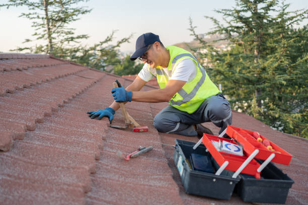 Best Roof Maintenance Services  in Hill N Dale, FL